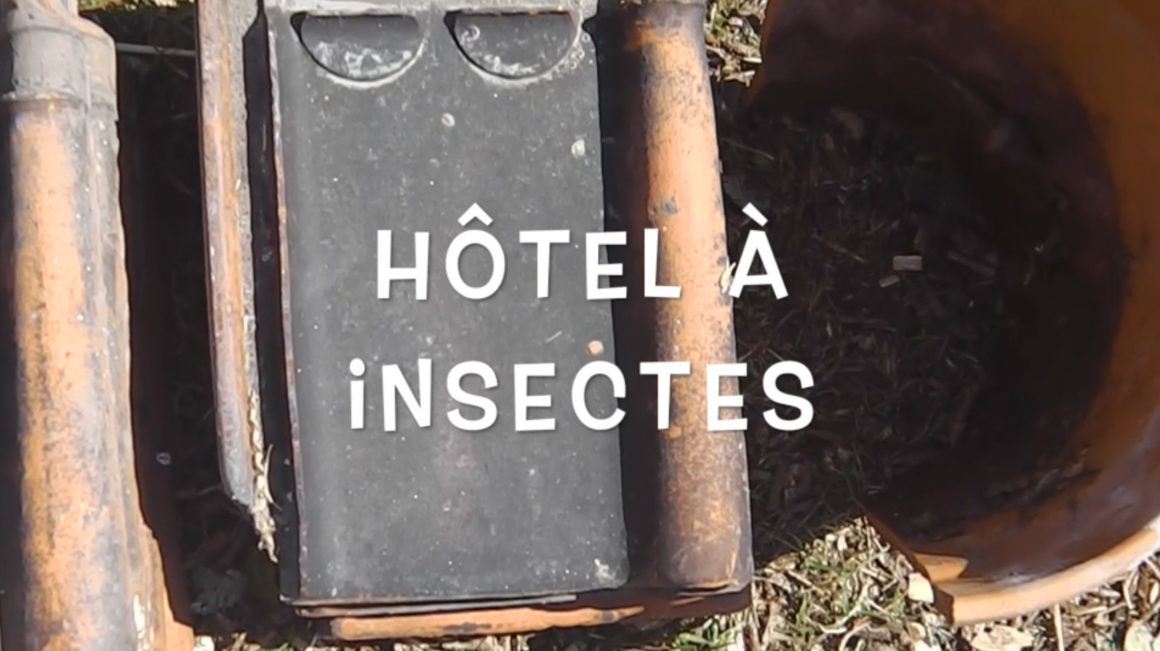 Tuto Zéro Déchets – Hôtel à insectes