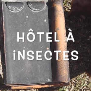 Tuto Zéro Déchets – Hôtel à insectes