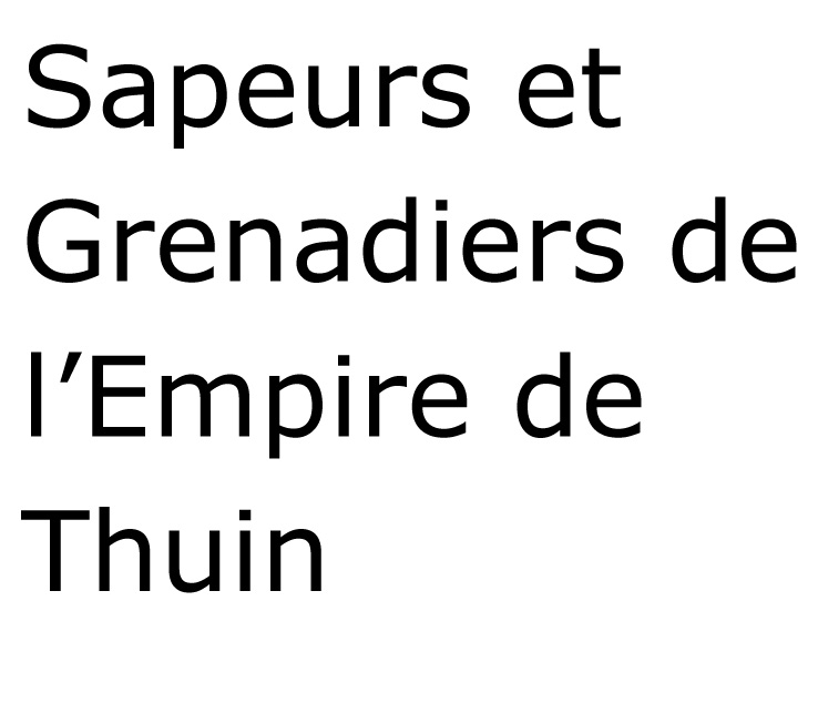 Sapeurs et Grenadiers de l’Empire de Thuin