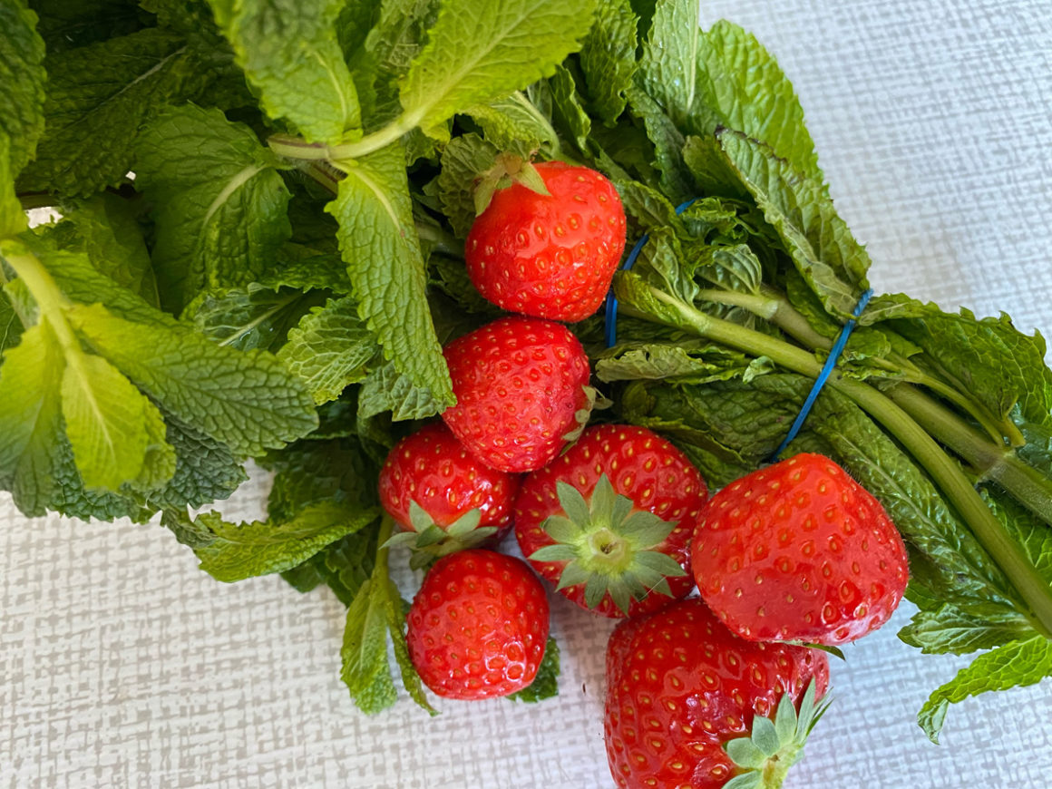 Tuto Zéro Déchets : SIROP (Menthe et fraise)