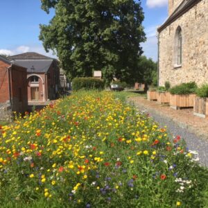 Pas mal de nouveautés ont été mises en place autour de l’église de Ragnies par les membres de Viquy : « Les jardins partagés ». Celles-ci s’inscrivent suite à notre candidature dans le projet « Imagine-Thuin » initié par la ville de Thuin. Certains d’entre vous ont pu d’une part découvrir le compostage collectif via la distribution des seaux prévus à cet effet. D’autre part et toujours dans le même esprit, des petits jardins aux plantes aromatiques, un hôtel à insectes et une magnifique prairie fleurie ont vu le jour. Ce beau projet étant arrivé à son terme, nous sommes donc heureux de vous inviter ce dimanche 29 août à partir de 11 h pour l’inauguration de ce petit endroit de biodiversité. Viquy aura le plaisir de vous offrir un apéritif festif au rythme de la musique de notre accordéoniste et du groupe « A Râse dè tère ». Vous aurez également la possibilité de vous restaurer. Au menu : porcelet grillé accompagné de son buffet au prix de 15 €. Bar classique et bar à champagne seront ouverts dans le respect bien entendu des mesures sanitaires en vigueur. Pour le repas, veuillez réserver au plus tard le 18 août par téléphone au 071/17.20.37 ou au 0497/18.32.27. Dans l’impatience de partager ce moment avec vous qui, nous l’espérons, remettra un peu de baume au coeur de tous après ces périodes difficiles. Le Comité de Viquy à Ragnies