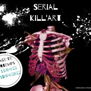 Stage de Printemps « Serial kill’art » pour enfants de 12 à 18 ans à Labuissière.
