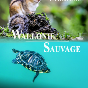 Wallonie Sauvage 2 – Invasion