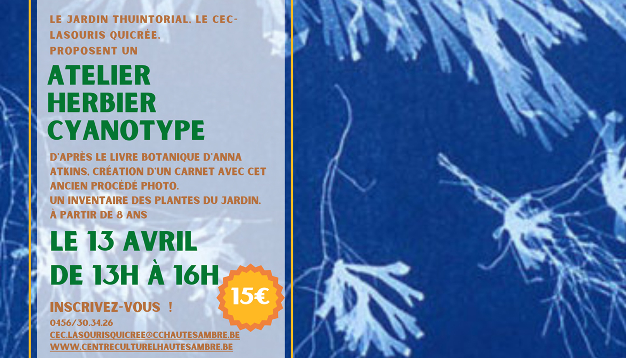 Workshop : Herbier cyanotype