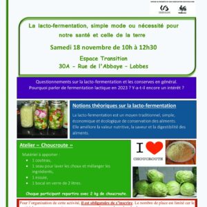 Rencontre – atelier sur la lactofermentation